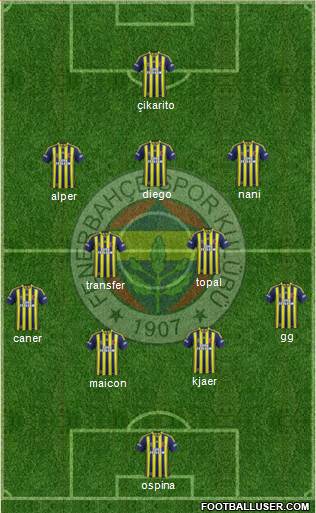 Fenerbahçe SK Formation 2015
