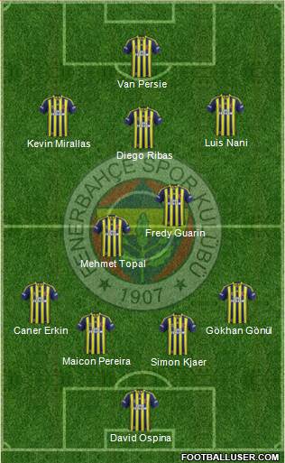 Fenerbahçe SK Formation 2015