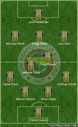 Fenerbahçe SK Formation 2015