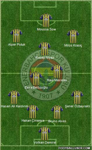 Fenerbahçe SK Formation 2015
