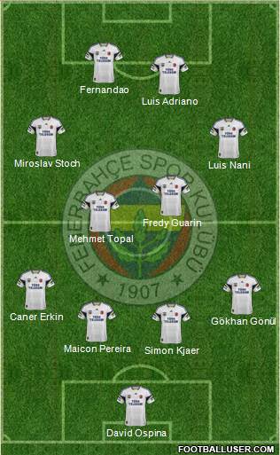 Fenerbahçe SK Formation 2015
