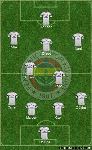 Fenerbahçe SK Formation 2015