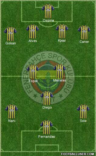 Fenerbahçe SK Formation 2015