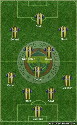 Fenerbahçe SK Formation 2015