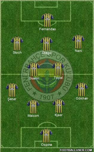 Fenerbahçe SK Formation 2015