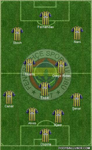 Fenerbahçe SK Formation 2015
