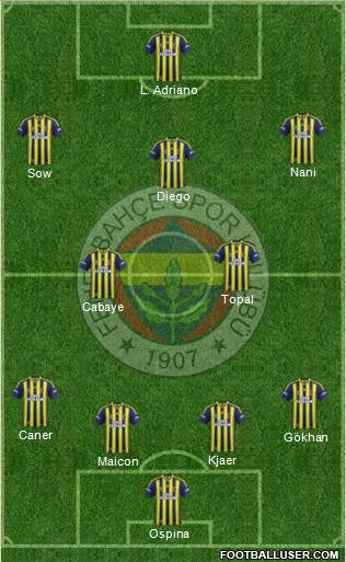 Fenerbahçe SK Formation 2015