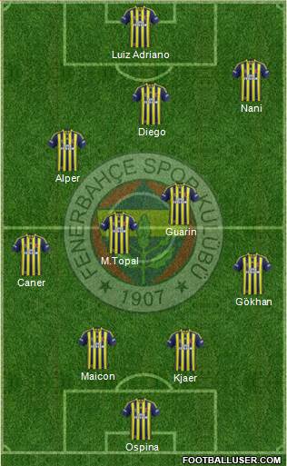 Fenerbahçe SK Formation 2015
