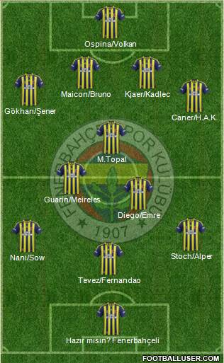 Fenerbahçe SK Formation 2015