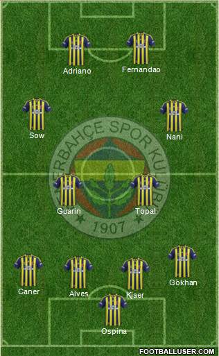 Fenerbahçe SK Formation 2015