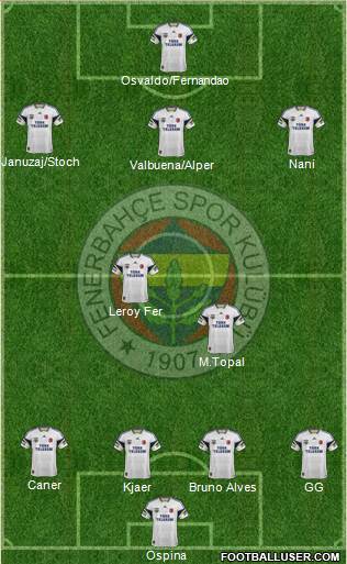 Fenerbahçe SK Formation 2015