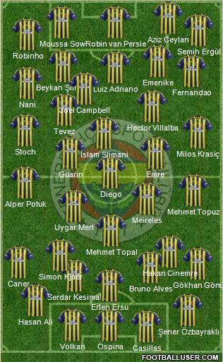 Fenerbahçe SK Formation 2015