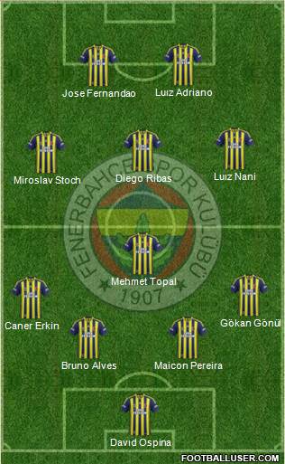 Fenerbahçe SK Formation 2015