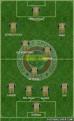 Fenerbahçe SK Formation 2015