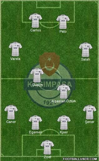 Kasimpasa Formation 2015