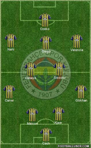 Fenerbahçe SK Formation 2015