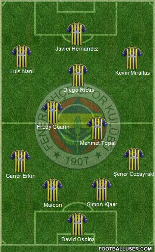 Fenerbahçe SK Formation 2015