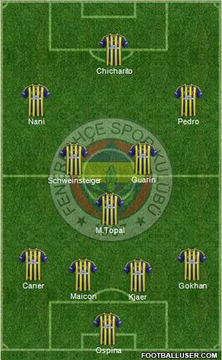 Fenerbahçe SK Formation 2015