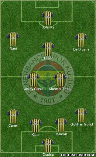 Fenerbahçe SK Formation 2015
