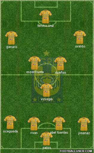Club Universitario de Nuevo León Formation 2015