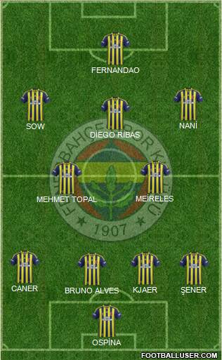 Fenerbahçe SK Formation 2015