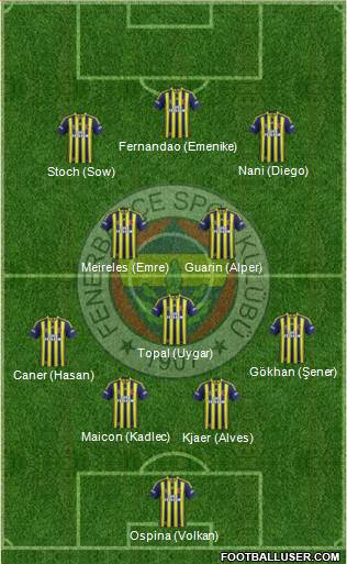 Fenerbahçe SK Formation 2015