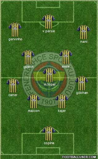 Fenerbahçe SK Formation 2015
