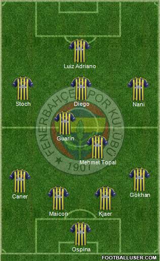 Fenerbahçe SK Formation 2015