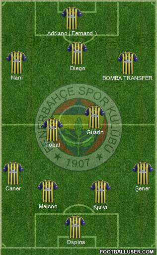 Fenerbahçe SK Formation 2015