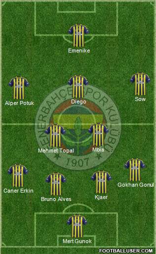 Fenerbahçe SK Formation 2015