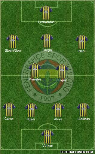Fenerbahçe SK Formation 2015