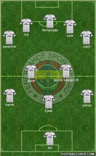Fenerbahçe SK Formation 2015