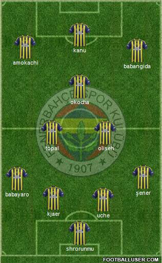 Fenerbahçe SK Formation 2015