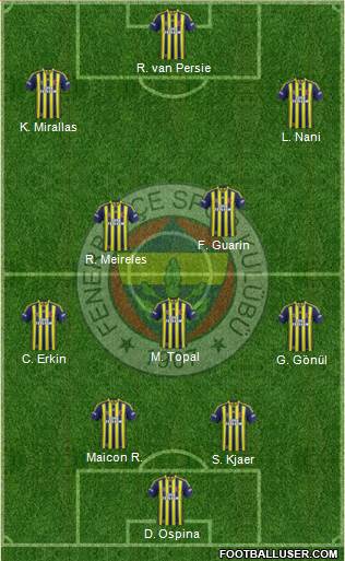 Fenerbahçe SK Formation 2015
