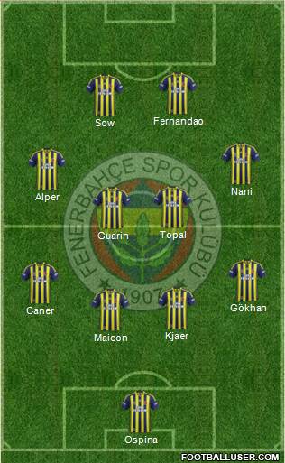 Fenerbahçe SK Formation 2015