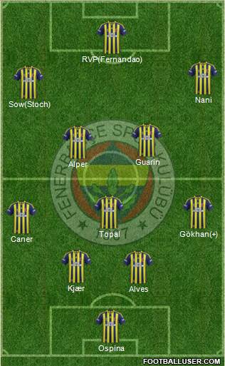 Fenerbahçe SK Formation 2015