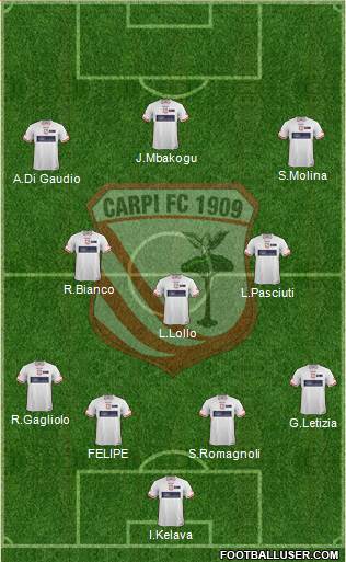 Carpi Formation 2015