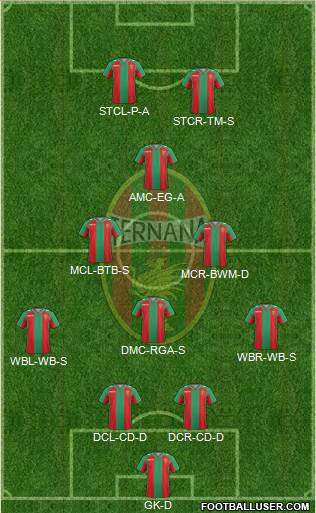 Ternana Formation 2015