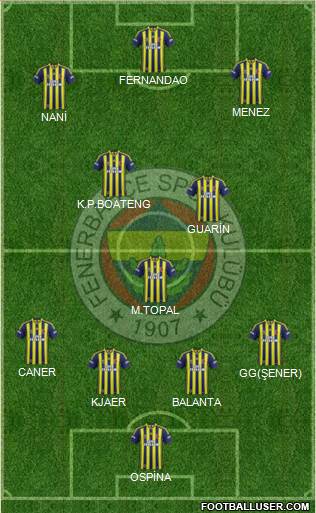 Fenerbahçe SK Formation 2015