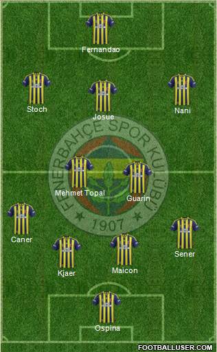 Fenerbahçe SK Formation 2015