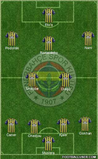 Fenerbahçe SK Formation 2015