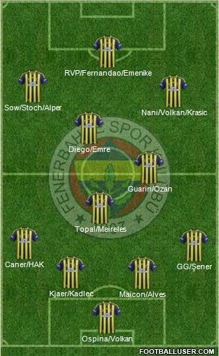 Fenerbahçe SK Formation 2015