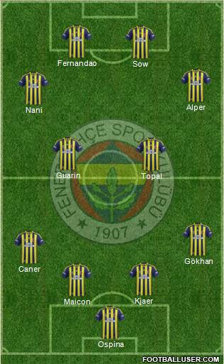 Fenerbahçe SK Formation 2015