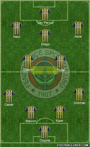 Fenerbahçe SK Formation 2015