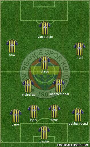 Fenerbahçe SK Formation 2015