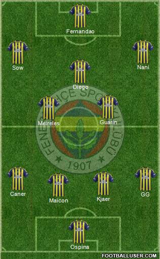 Fenerbahçe SK Formation 2015