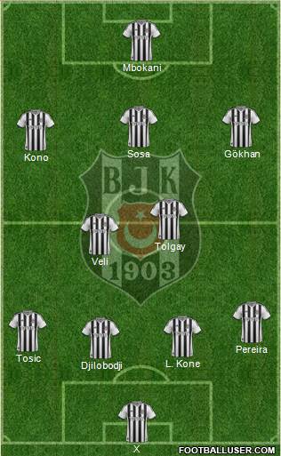 Besiktas JK Formation 2015