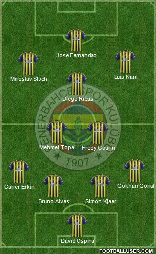 Fenerbahçe SK Formation 2015