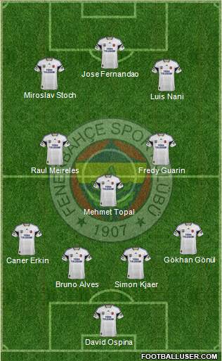 Fenerbahçe SK Formation 2015