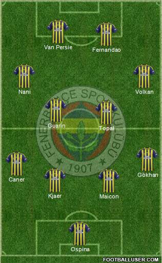 Fenerbahçe SK Formation 2015